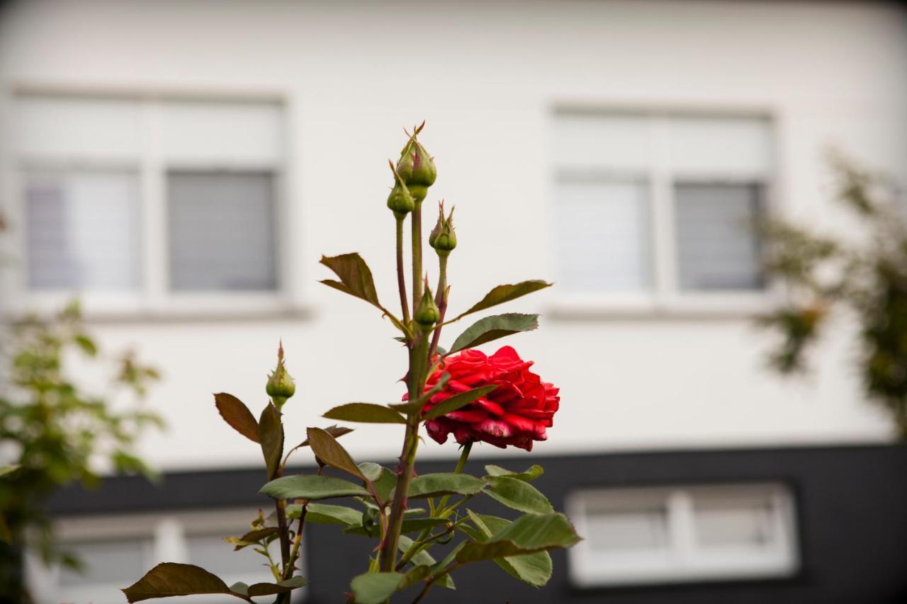 Apartman Kuca 150 Mala Subotica ภายนอก รูปภาพ