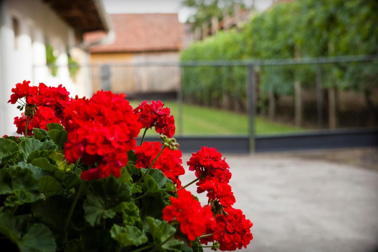 Apartman Kuca 150 Mala Subotica ภายนอก รูปภาพ